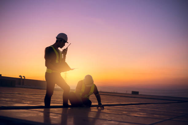Roof Waterproofing Services in Mount Olive, MS