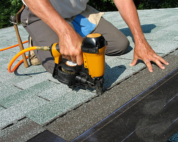 Best Roof Repair Services  in Mount Olive, MS