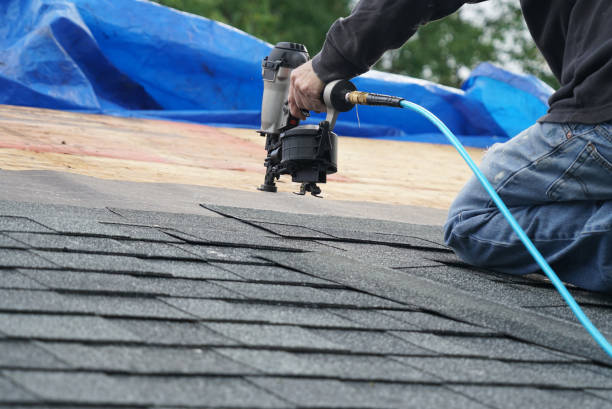 Best Local Roofing Companies  in Mount Olive, MS
