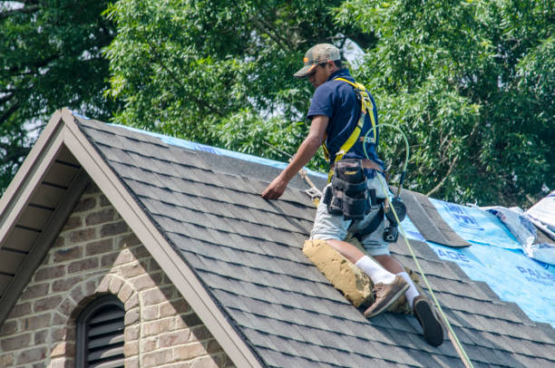 Best Commercial Roof Installation  in Mount Olive, MS