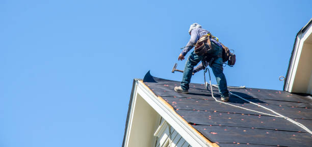 Best Roof Leak Repair  in Mount Olive, MS